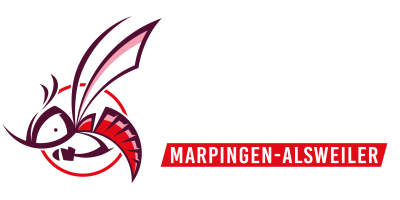 logo_quer